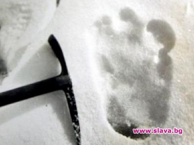 Откриха следи от Йети в Хималаите