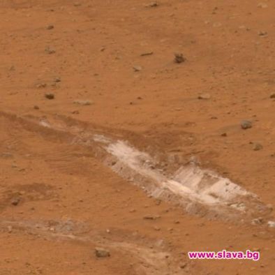 Застрояват Марс с мравки роботи?