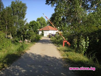 В Гърция заляха българка със сярна киселина