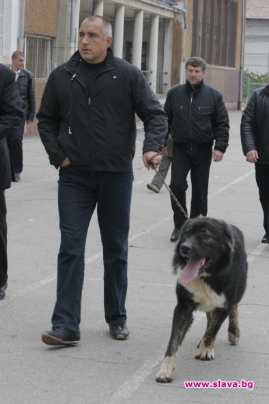 Бойко Борисов продава кучета по 2 лв. парчето
