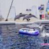Варненският Делфинариум празнува 25 годишен юбилей