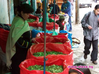 Боливия иска законна кока