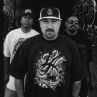 CYPRESS HILL И MORCHEEBA НА ELEVATION 2011