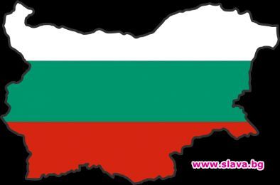 ПЪЛНА ЛУДНИЦА