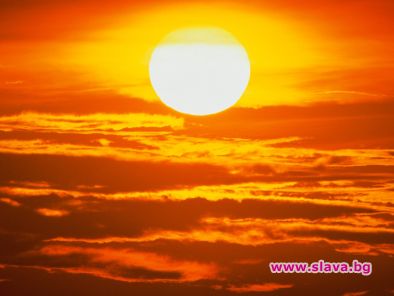 СЕМЕЙНИ ВОЙНИ