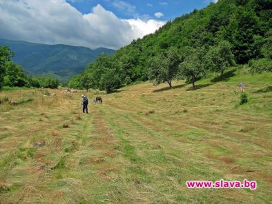 Избраха победителите в конкурса „Чиста храна – Чиста природа” 
