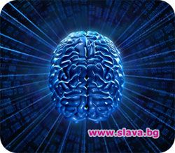 Българка притежава „Супер ум“ 