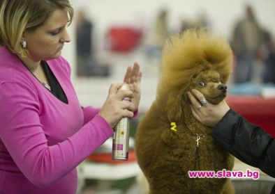 СМЯХ, СМЯХ И ПАК СМЯХ!!! (ЧАСТ 101)