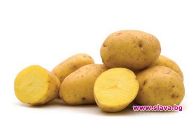 Експерти предупреждават за опасен „рак по картофите“ 