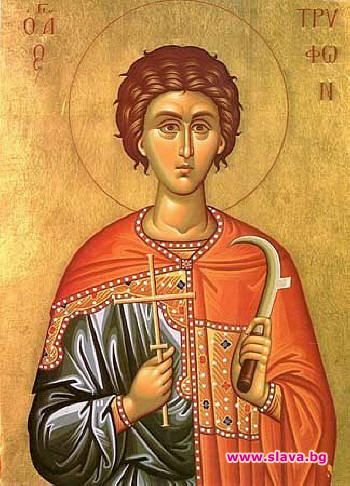 Трифоновден е