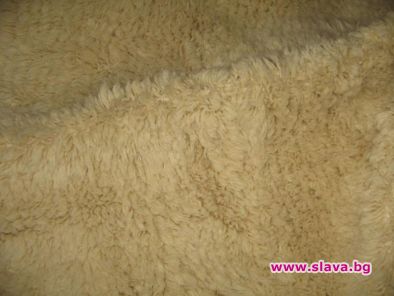 Пробвайте секс под дебел родопски губер 