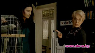 Говорящ папагал замесен в смъртен случай