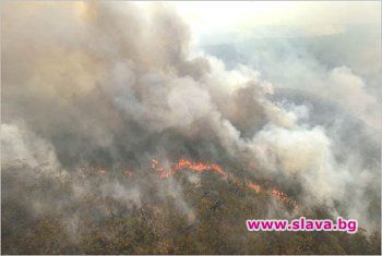 Огънят на Витоша се укроти 