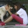 БНТ подкрепи Осинови си куче