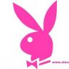 Братовчедката на Кейт Мидълтън се снима за Playboy