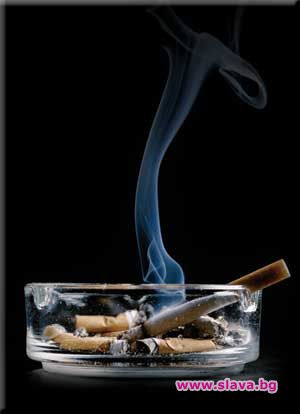 Диктатурата на кръчмата