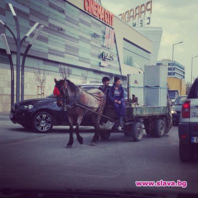 Мика направи фотоудар