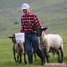 Животните в Германия заплашени от извратеняци
