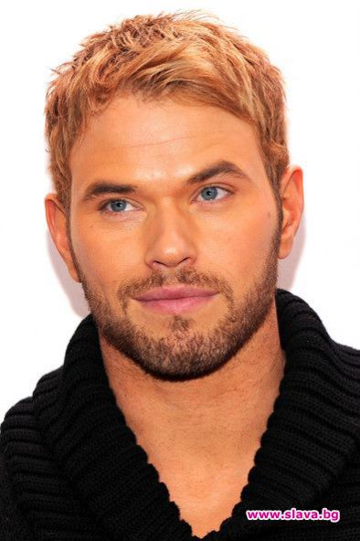 Вампир събрал 133 000 лири за бездомните бг кучета