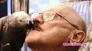 Стилист Капанов разказва за сина си и папагалите