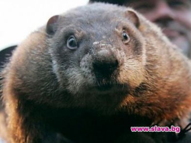 Мармотът Фил: Зима още шест седмици