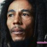 Bob Marley трибют 2014
