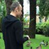 Бербатов и Деа хранят патици в парка