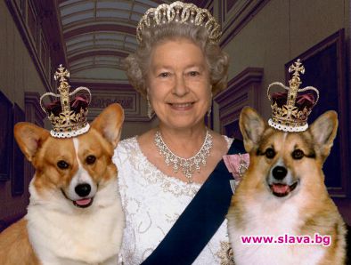 Кралицата маха любимите си кучета 