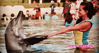 Преслава танцува с делфините в Дубай