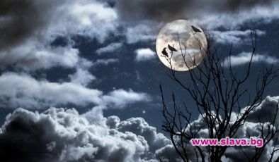 Мистични истории в ефира на Нова от 12 март