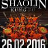 МОНАСИТЕ ОТ ШАОЛИН - МИСТИЧНАТА СИЛА НА КУНГ ФУ 