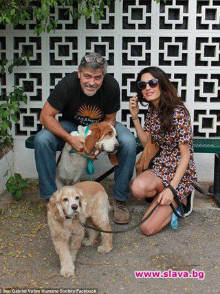 Джордж и Амал Клуни добавиха нов член към семейството си