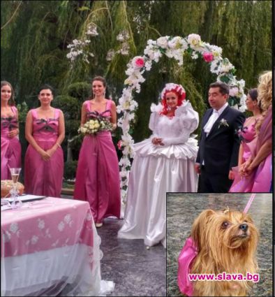 Мерлин Арно направи кучето си шафер на сватбата си 