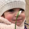 Евро с пълен двор кокичета  