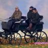 Принц Филип подкара карета, Кралицата поязди