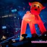 Fedde Le Grand затваря НДК за коледно шоу