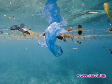 10 начина да намалите употребата си на пластмаса 