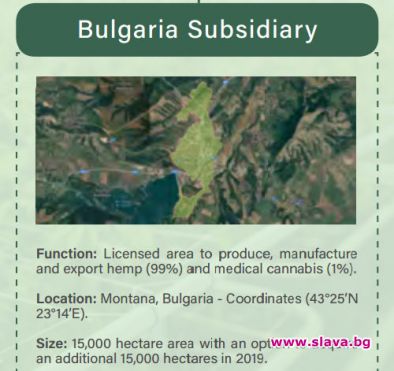 Канадска компания обяви, че има 150 хил. декара за производство на канабис в България