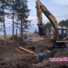 Край на живописната борова гора в Арапя