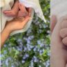 Заподозряха Меган в копиране на Кайли: Мегандашян