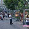 Пътешественик с изложба в София
