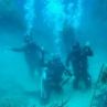 Започна първият Международен салон по подводна фотография