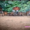  Хомо дуелът във Фермата започна, люти закани се сипят