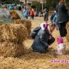 Празникът на сламата отново събра хиляди 