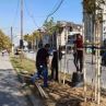 200 нови дръвчета и 225 храста засаждат покрай новата метростанция на Красно село