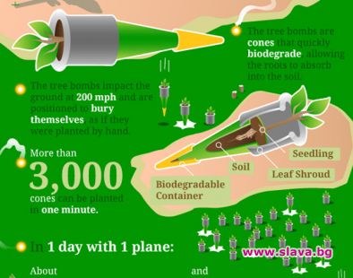 Самолети възстановяват обезлесени гори с бомби-фиданки