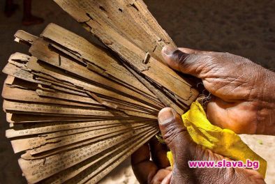 12 библиотеки на палмовите листа съхраняват записи за съдбите на всички хора на земята