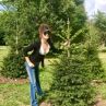 Деси Тенекеджиева положи началото на гора на таланта