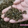 Милиони евросубсидии за отрова за пчелите и хората