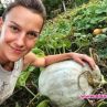  Дария Симеонова отгледа тиква гигант